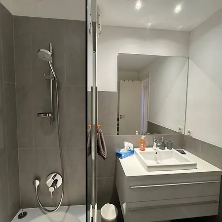 3 Avec Piscine Au Centre-ville - Fr-1-100-351